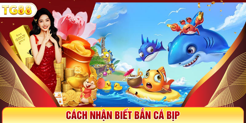 Cách Nhận Biết Bắn Cá Bịp - Hướng Dẫn Dễ Áp Dụng Nhất