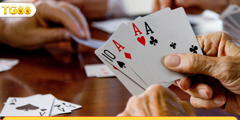 Đa dạng thể loại bài từ truyền thống đến hiện đại