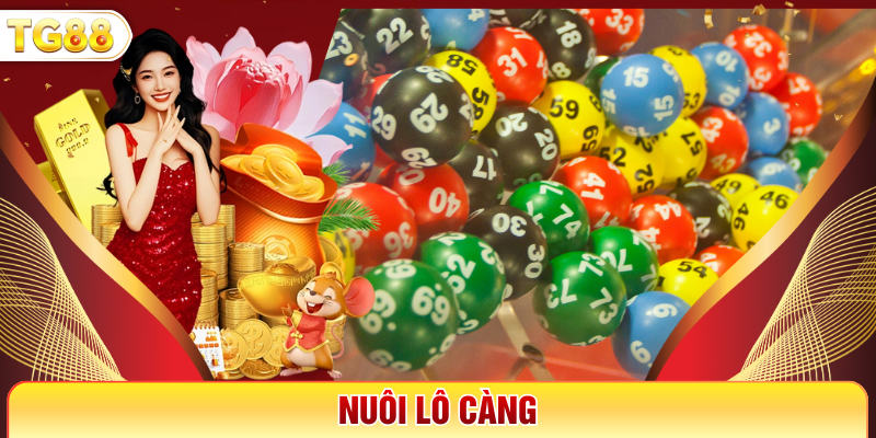 Nuôi Lô Càng - Gợi Ý Cách Nuôi Hợp Lý Nhất Hiện Nay